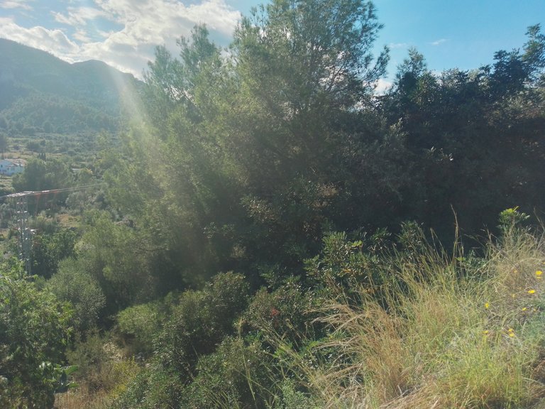 Villa for Sale  in Denia, Alicante 10