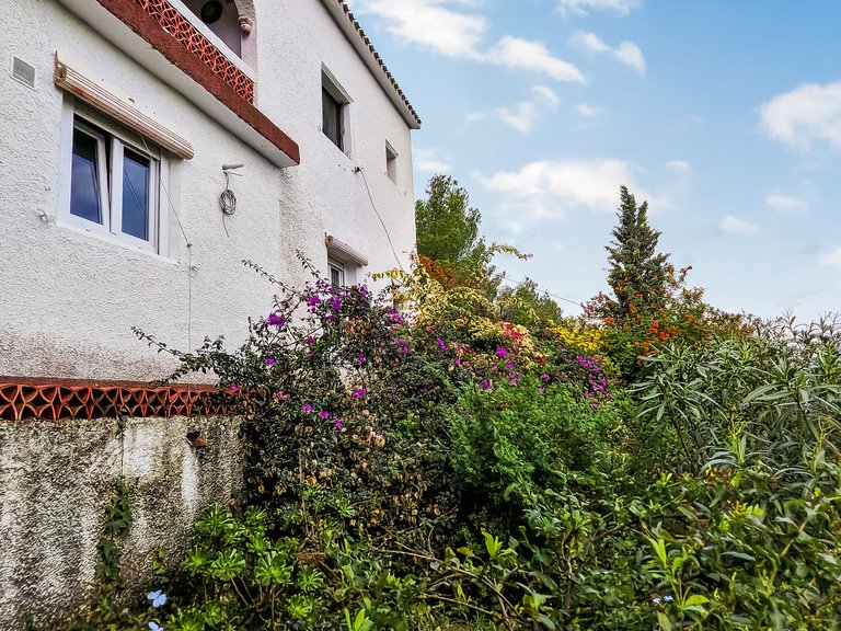 Villa for Sale  in Oliva, Valencia 15