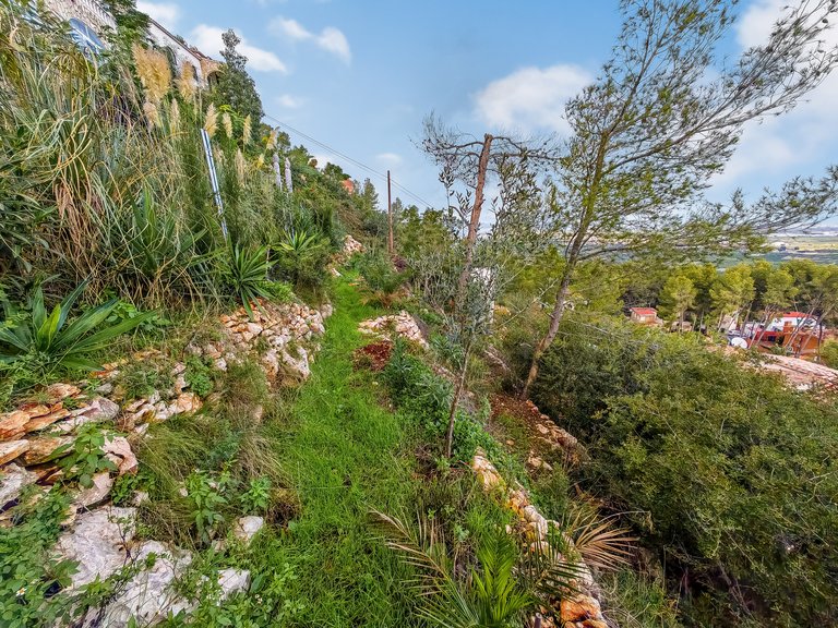 Villa for Sale  in Oliva, Valencia 19