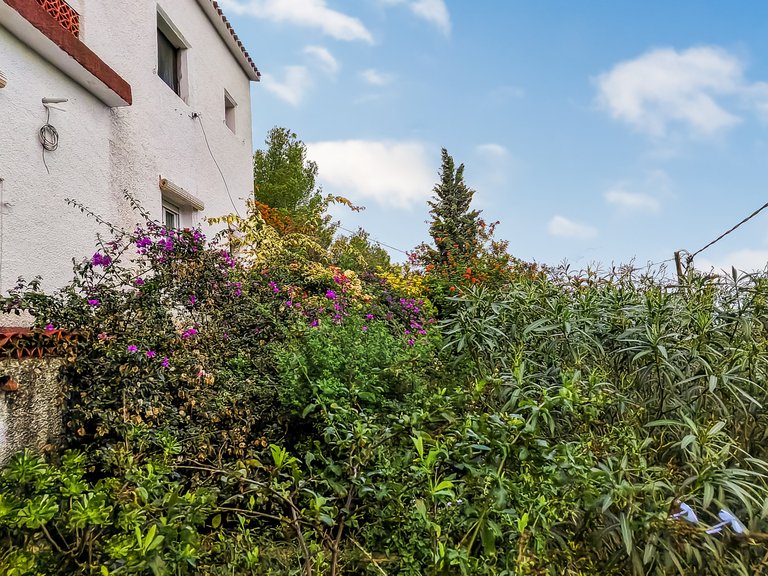 Villa for Sale  in Oliva, Valencia 16
