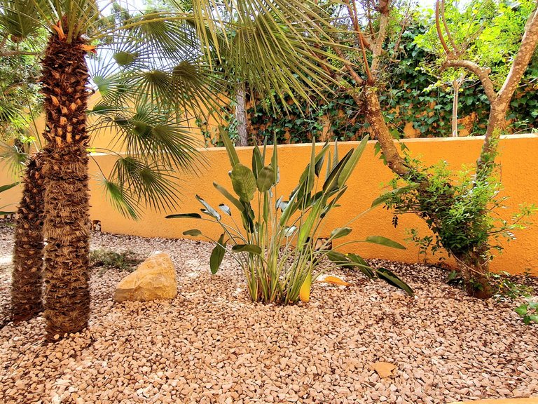 Villa for Sale  in Poble Nou de Benitatxell, Alicante 29