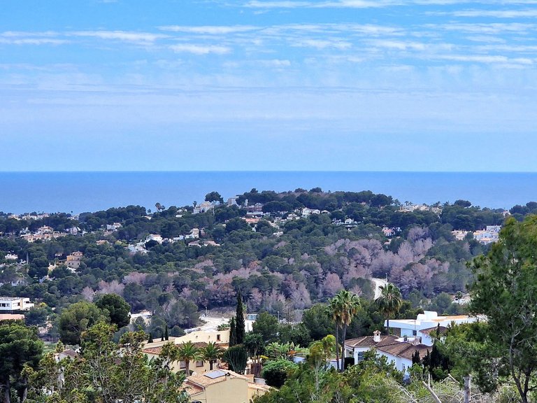Plot for Sale  in Teulada, Alicante 4