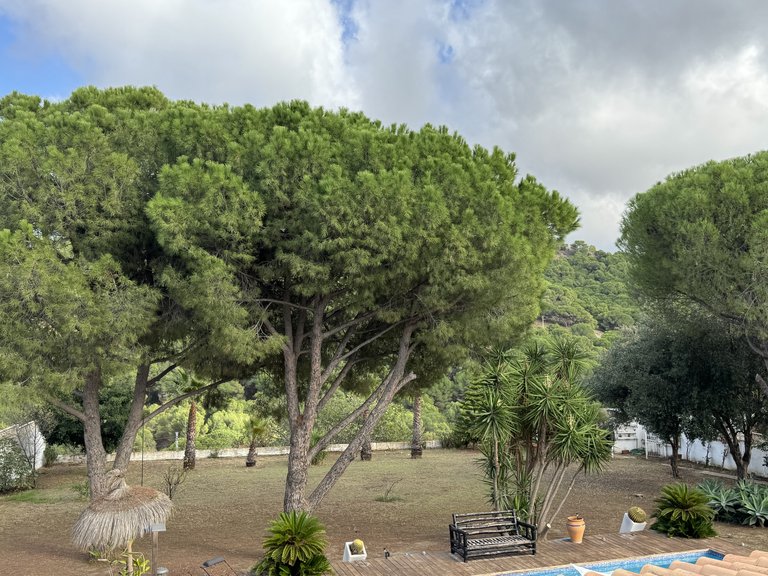 Villa for Sale in Alhaurin De La Torre Malaga 49