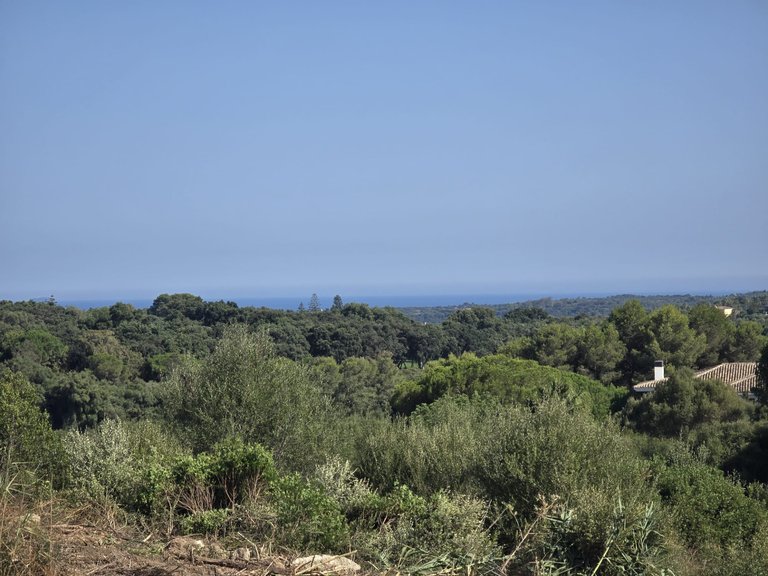 Plot for Sale in Sotogrande Cadiz 1