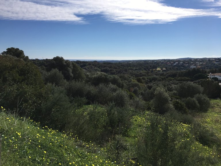 Plot for Sale in Sotogrande Cadiz 21