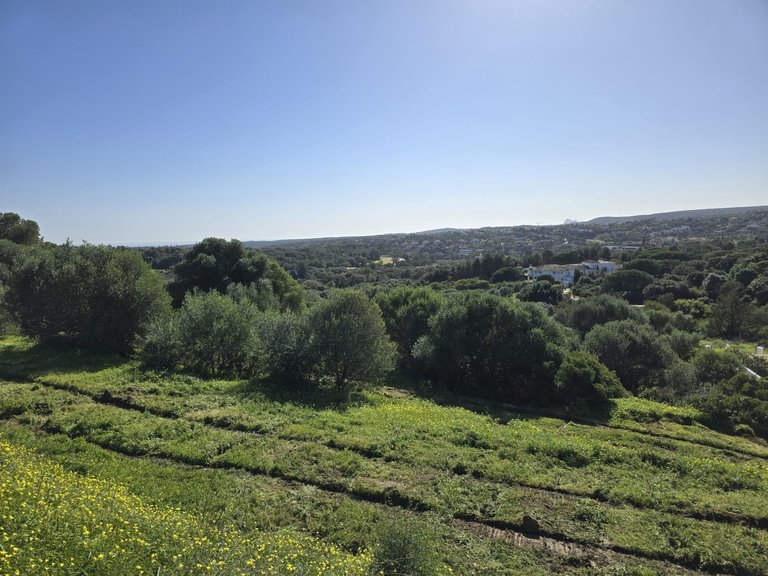 Plot for Sale in Sotogrande Cadiz 27