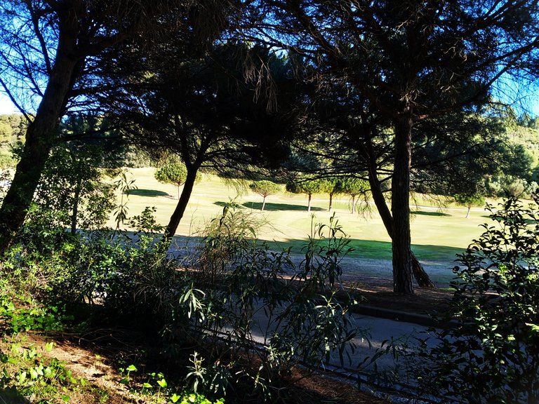 Plot for Sale in Sotogrande Cadiz 14