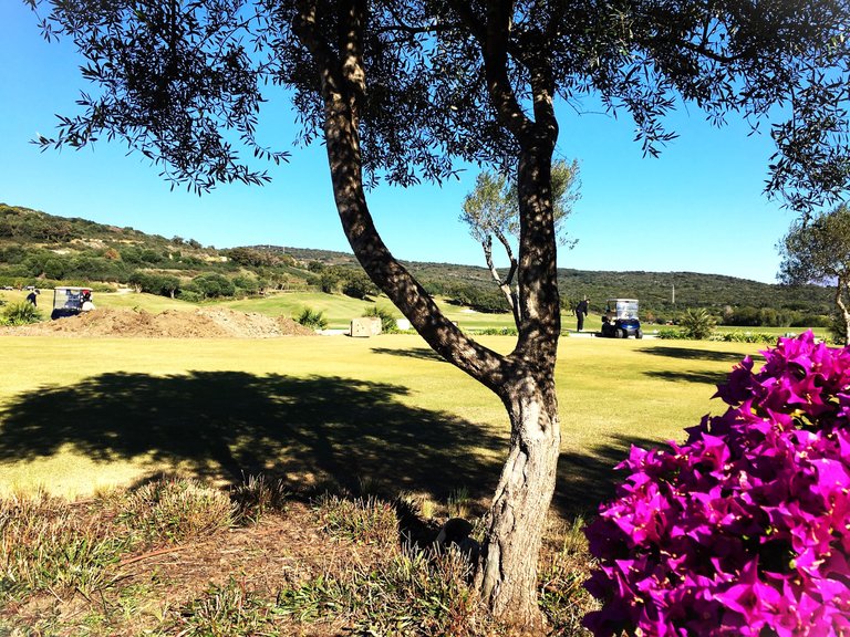 Plot for Sale in Sotogrande Cadiz 15