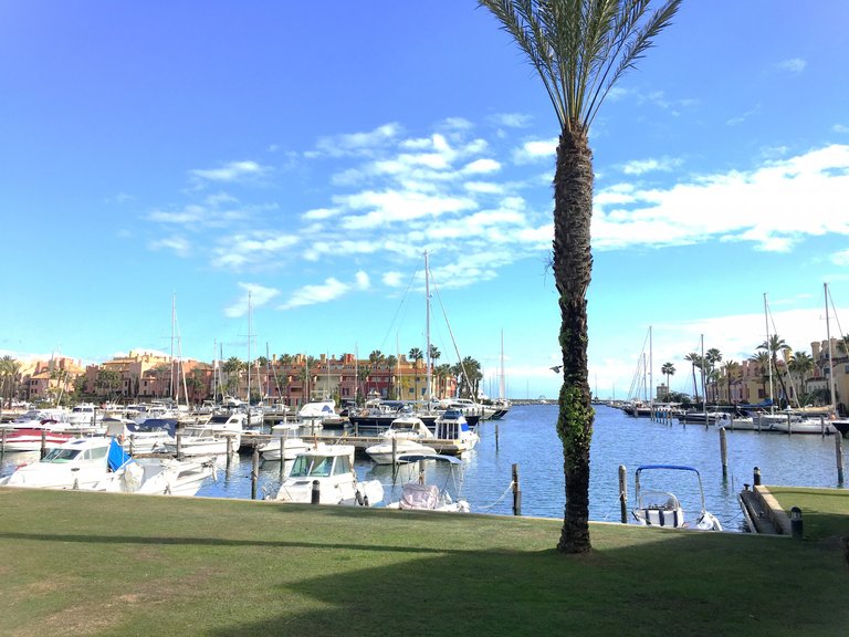 Villa for Sale in Sotogrande Cadiz 8