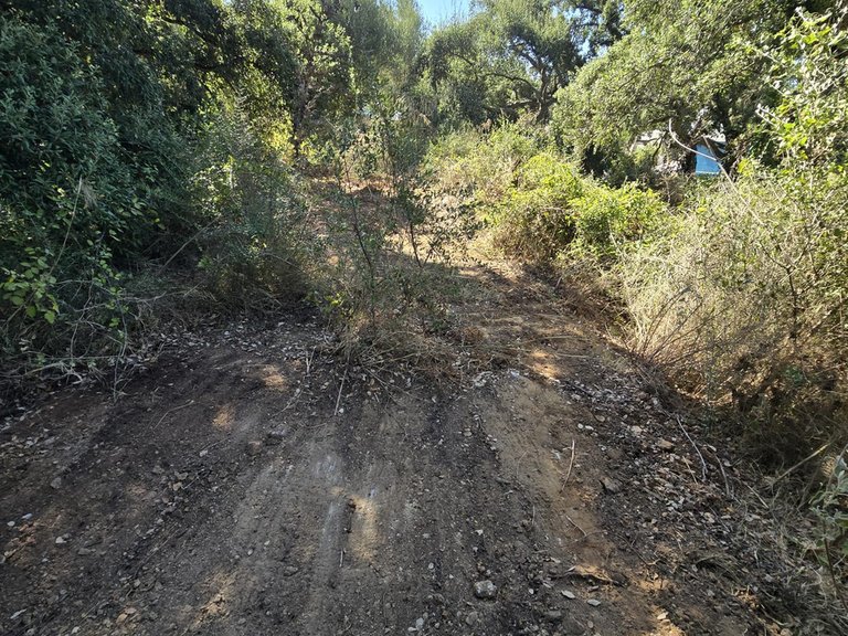 Plot for Sale in Sotogrande Cadiz 5