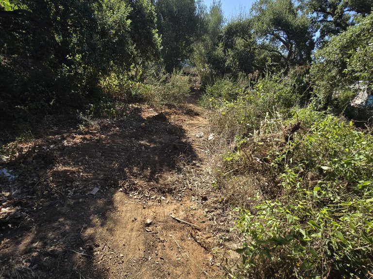 Plot for Sale in Sotogrande Cadiz 14