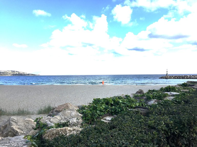 Plot for Sale in Sotogrande Cadiz 26