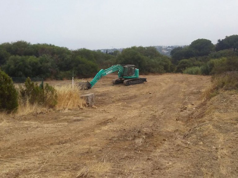 Plot for Sale in Sotogrande Cadiz 6