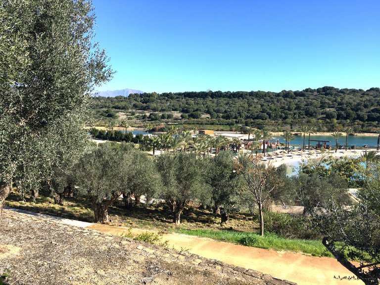 Plot for Sale in Sotogrande Cadiz 18