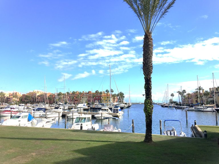 Plot for Sale in Sotogrande Cadiz 23