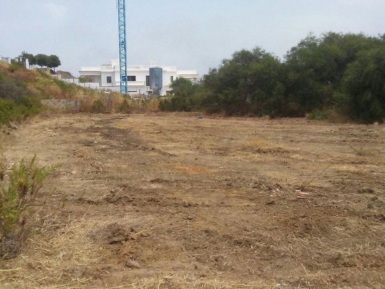 Plot for Sale in Sotogrande Cadiz 5