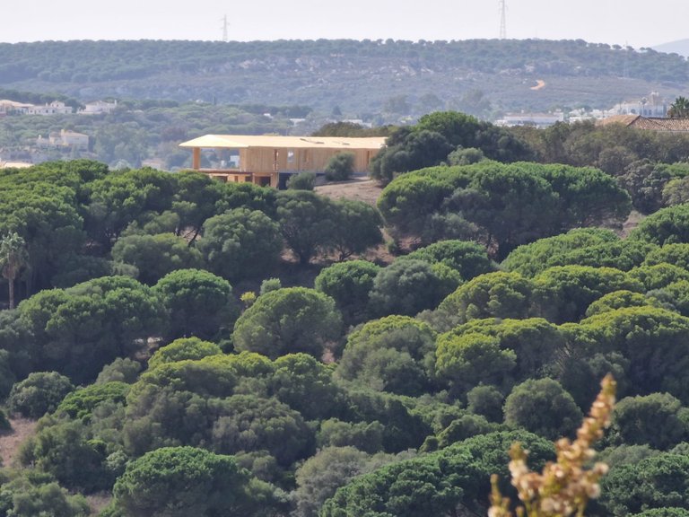 Villa for Sale in Sotogrande Cadiz 20