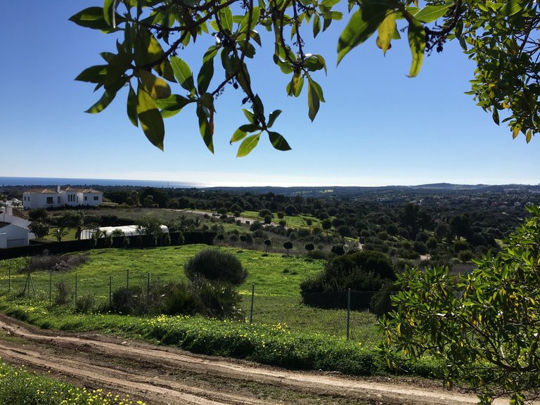 Villa for Sale in Sotogrande Cadiz 17
