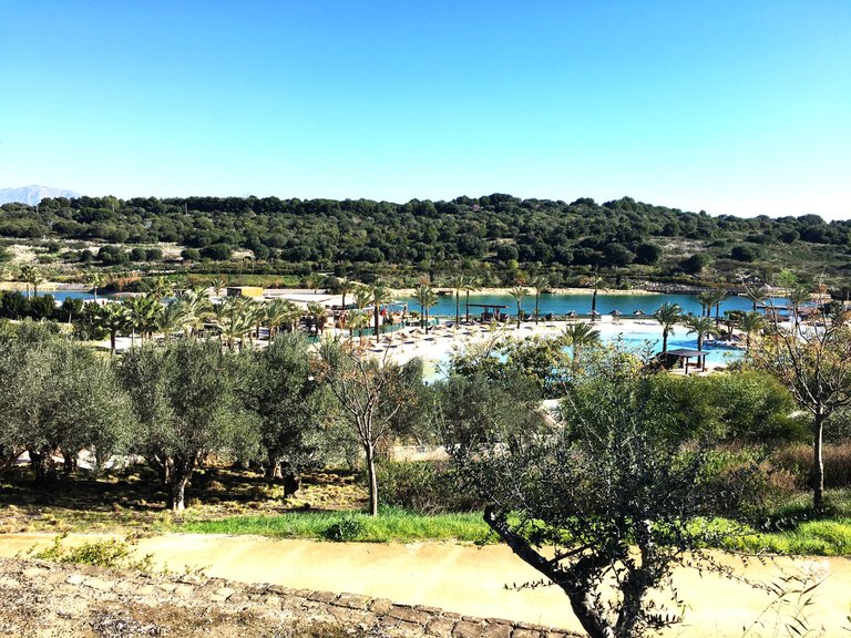 Plot for Sale in Sotogrande Cadiz 4