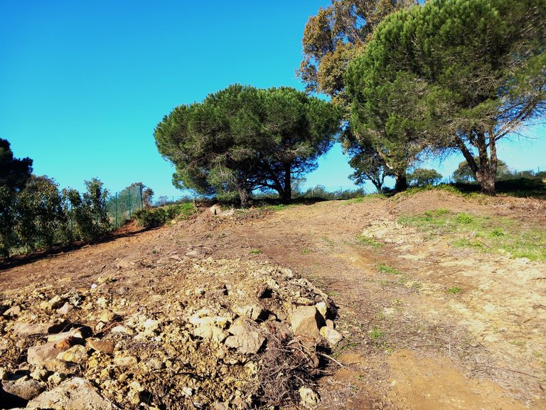 Plot for Sale in Sotogrande Cadiz 9