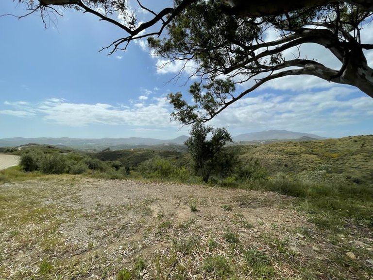 Plot for Sale in Mijas Malaga 13
