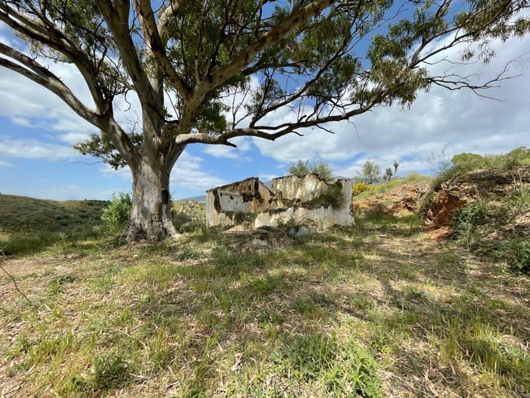 Plot for Sale in Mijas Malaga 5