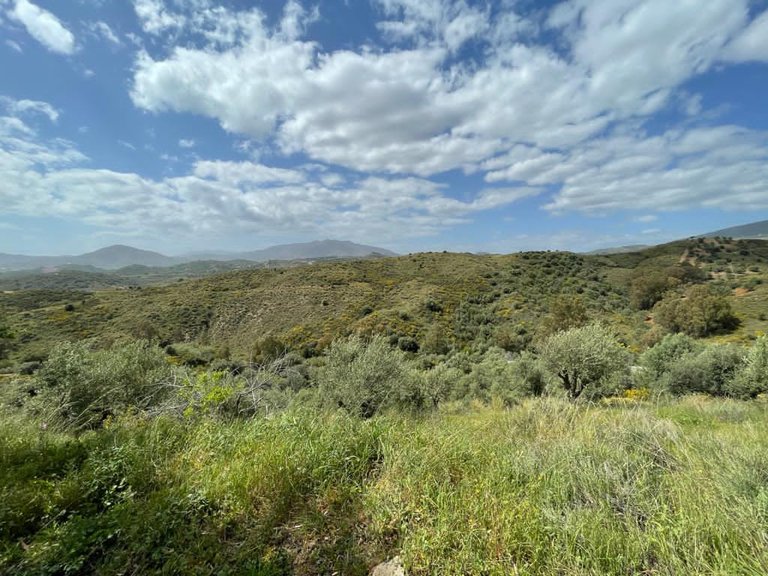 Plot for Sale in Mijas Malaga 6