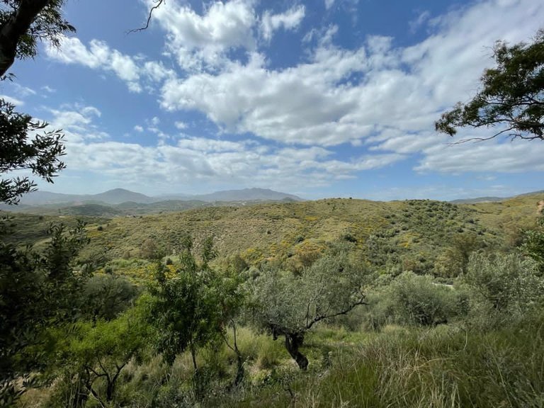 Plot for Sale in Mijas Malaga 3