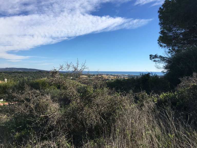 Plot for Sale in Sotogrande Cadiz 28