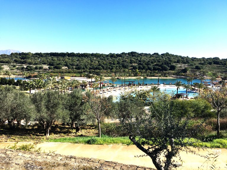 Plot for Sale in Sotogrande Cadiz 15
