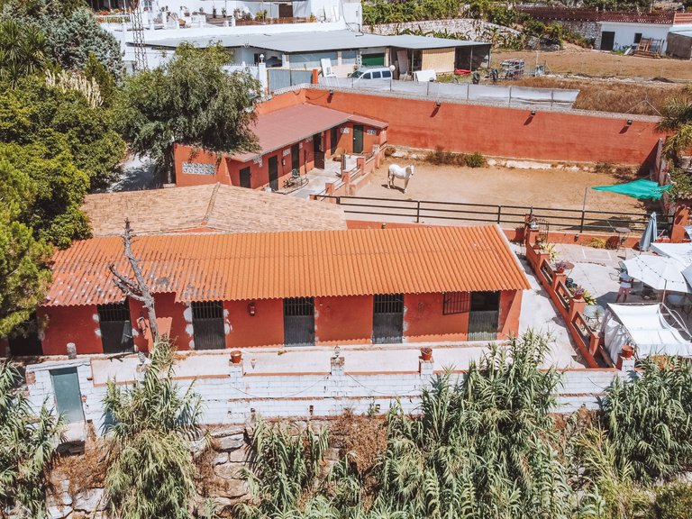 Villa for Sale in Mijas Costa Malaga 45