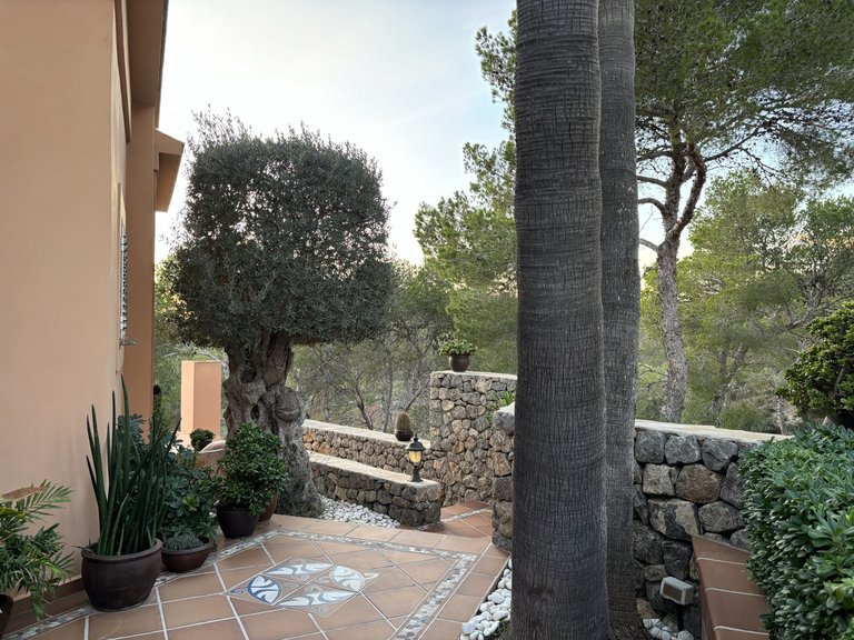 Villa for Sale in Santa Eulalia Del Río Balearic Islands 11