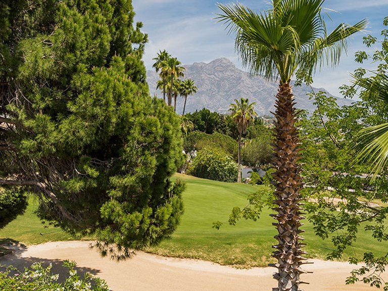Villa for Sale in Benahavis Malaga 25