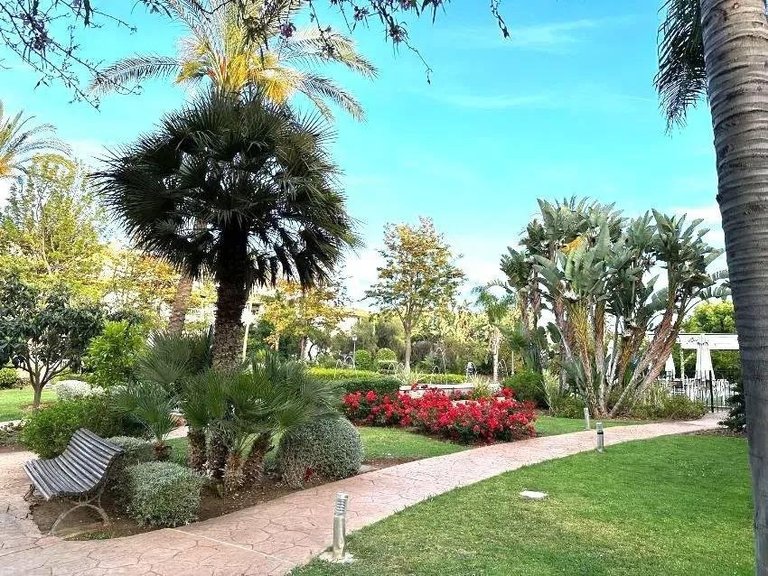 Apartment for Rent in Marbella Malaga 17