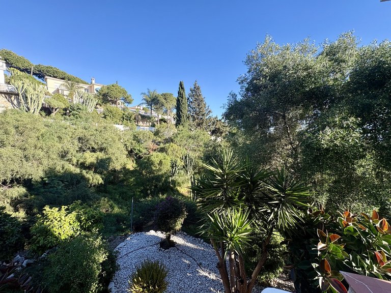 Villa for Sale in Mijas Costa Malaga 35