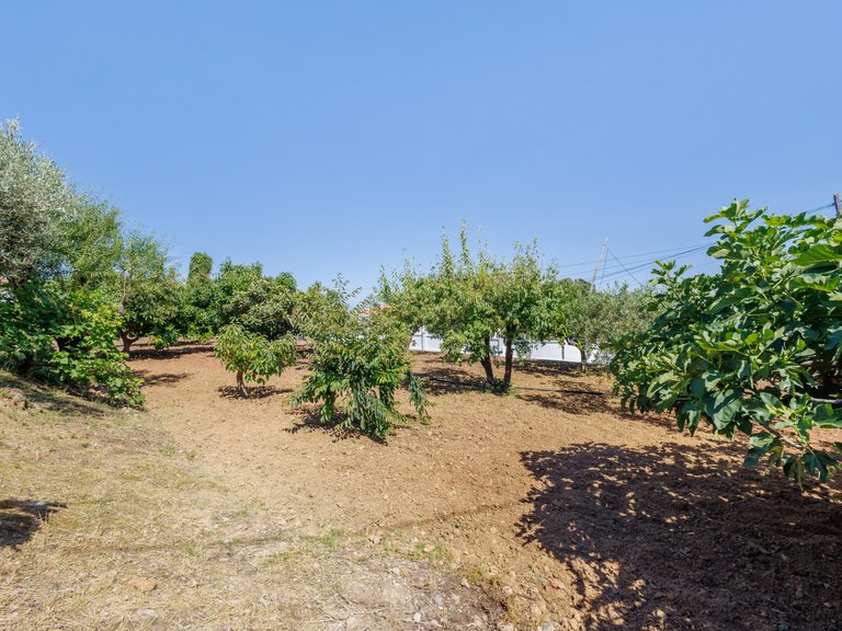 Villa for Sale in Alhaurin El Grande Malaga 17
