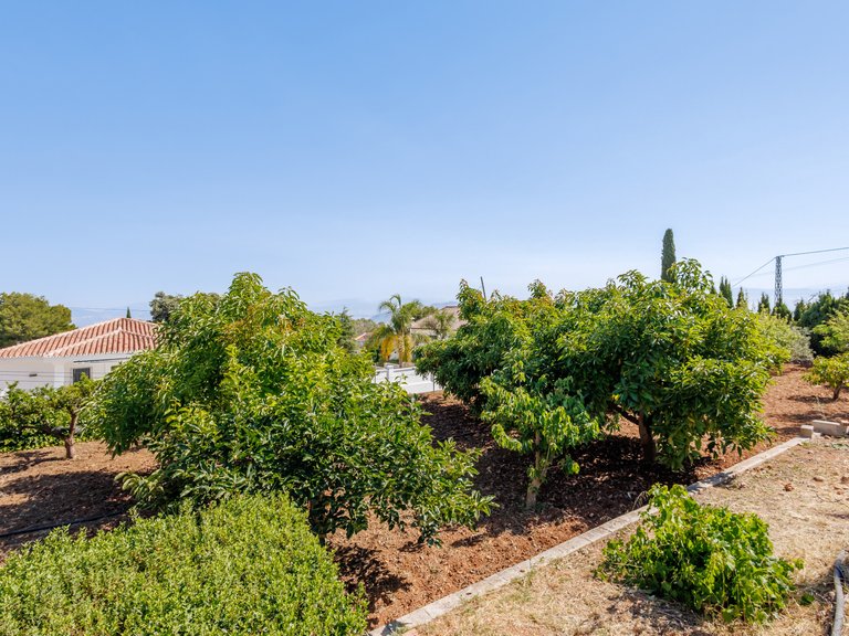 Villa for Sale in Alhaurin El Grande Malaga 14