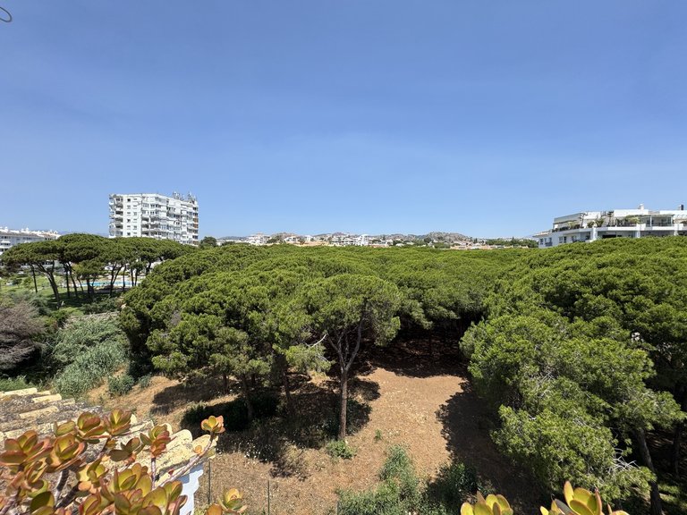 Penthouse for Sale in Mijas Costa Malaga 17