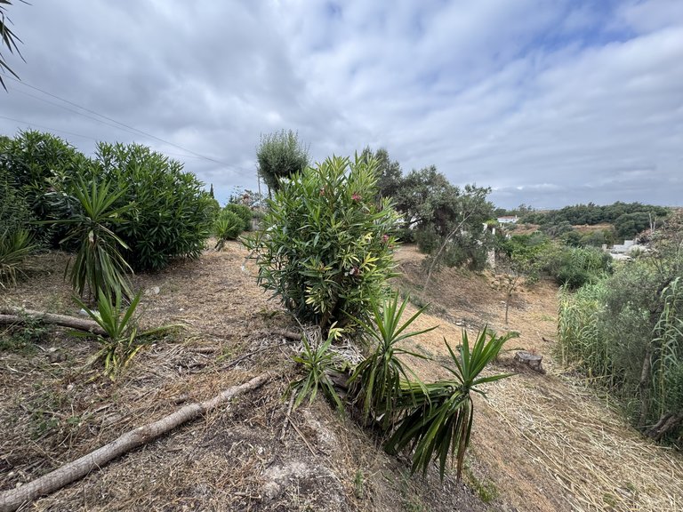 Plot for Sale in Mijas Malaga 6