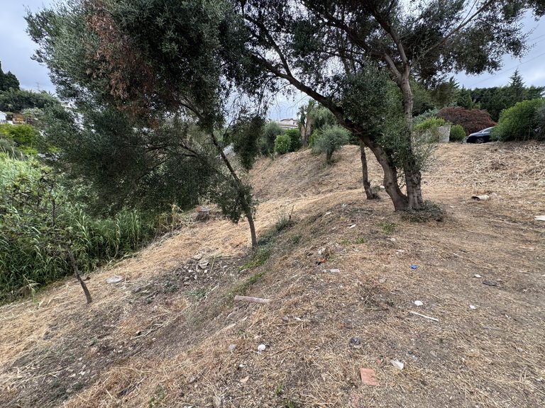 Plot for Sale in Mijas Malaga 19
