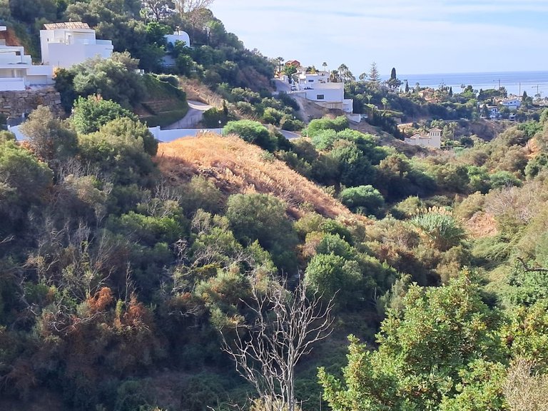Plot for Sale in Marbella Malaga 3