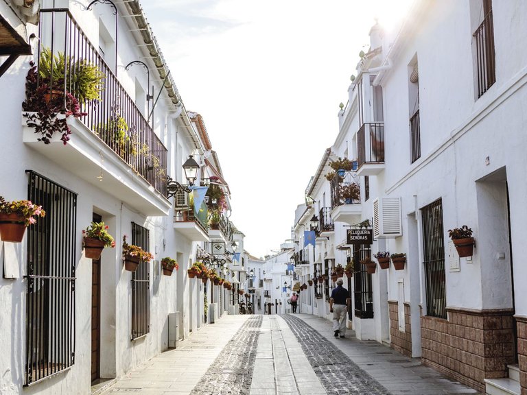 Commercial for Rent in Mijas Costa Malaga 22