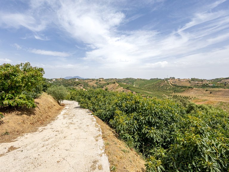 Villa for Sale in Alhaurin El Grande Malaga 43