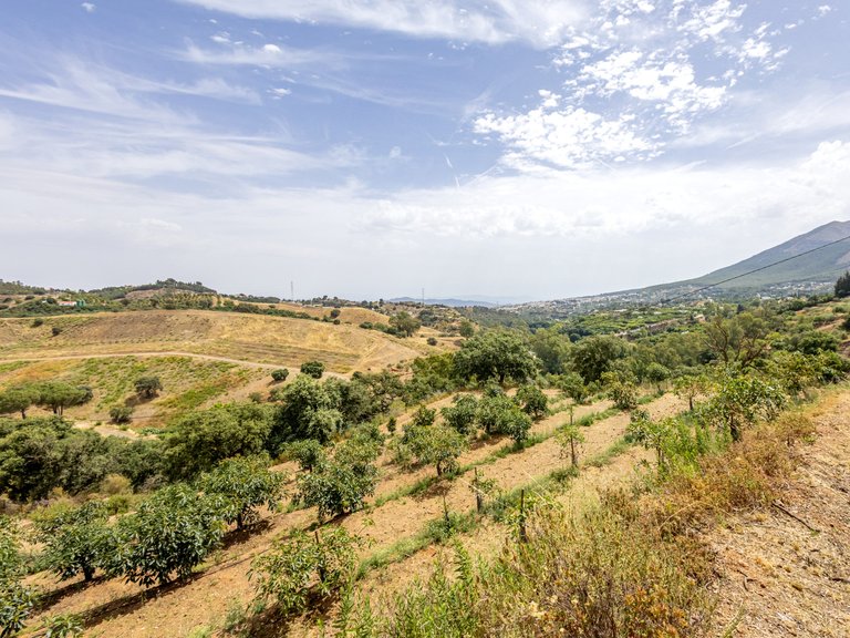 Villa for Sale in Alhaurin El Grande Malaga 45
