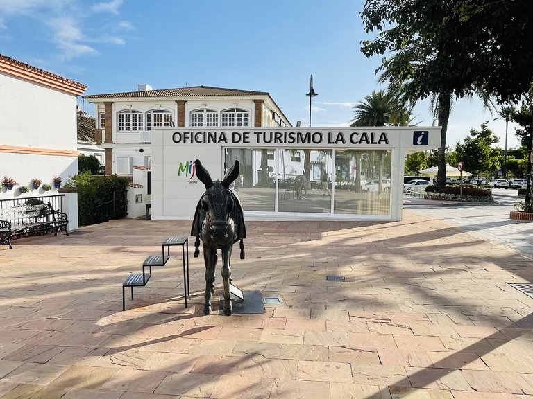 Commercial for Rent in Mijas Costa Malaga 25
