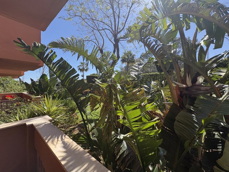 Apartment for Sale in Marbella Malaga 14
