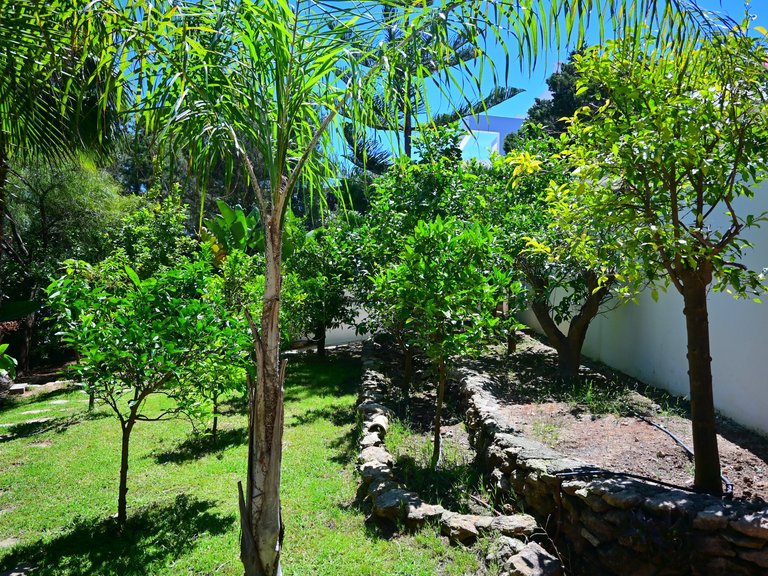Villa for Sale in Santa Eulalia Del Río Balearic Islands 47