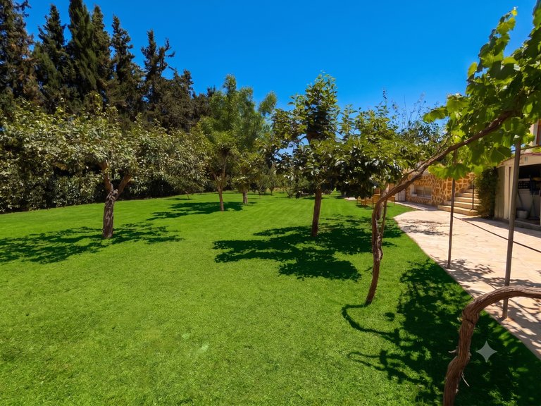 Country House for Sale in Sant Joan De Labritja Balearic Islands 41