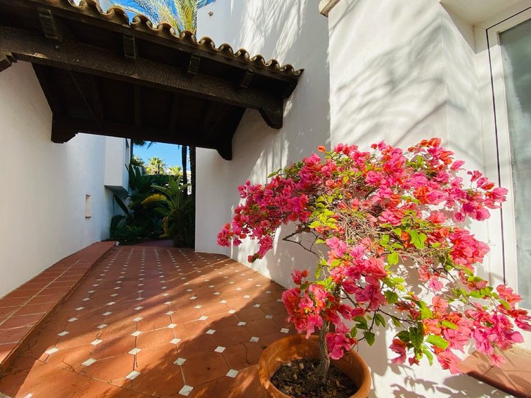 Town House for Sale in Marbella Malaga 19