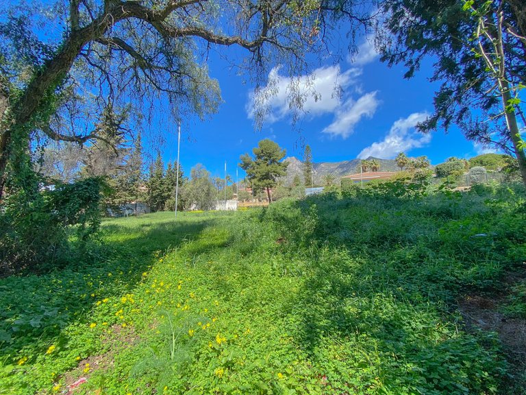 Plot for Sale in Marbella, Malaga 2